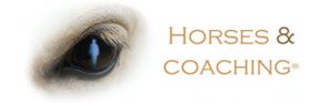 logo-horse-coaching